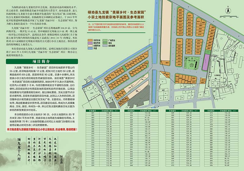 禄劝县九龙镇九龙村“美丽乡村 生态家园”项目小宗土地拍卖宗地图
