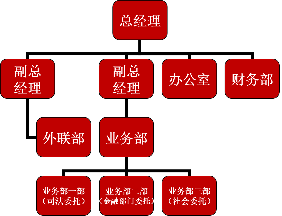 公司架构图